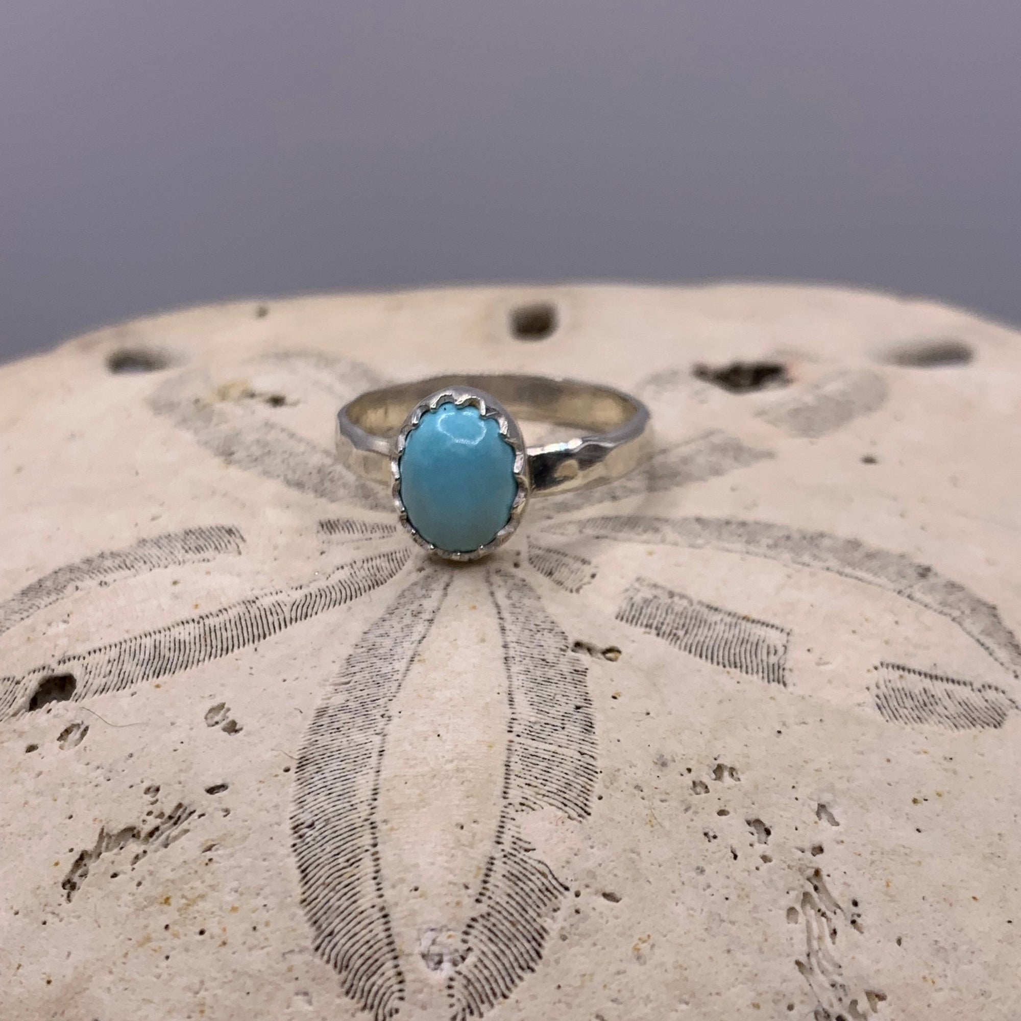 A silver ring with a round light blue turquoise stone, displayed on a textured sand dollar shell against a neutral gray background.